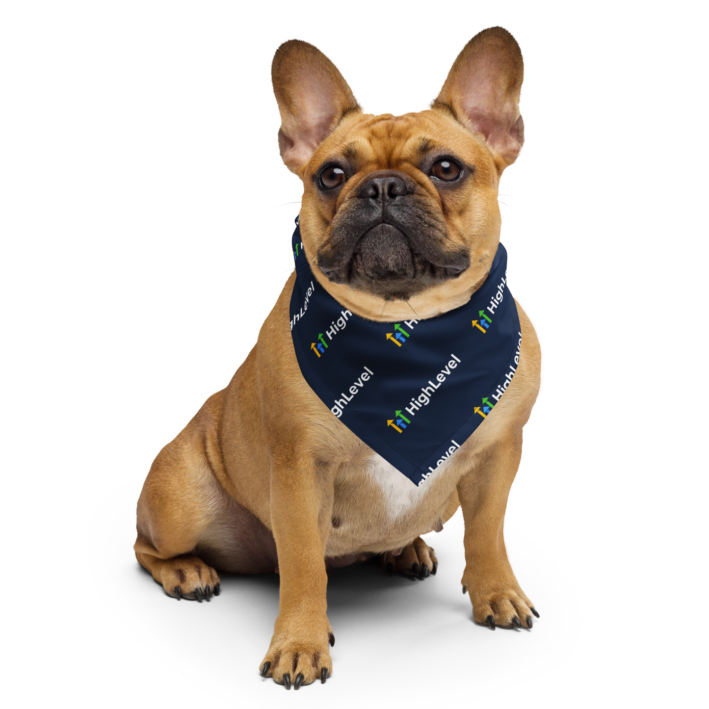 HighLevel Bandana