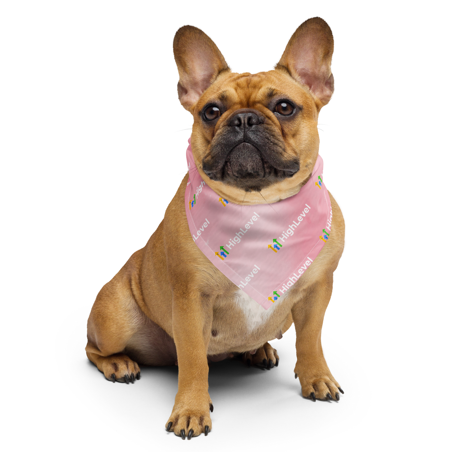 HighLevel Pink Bandana
