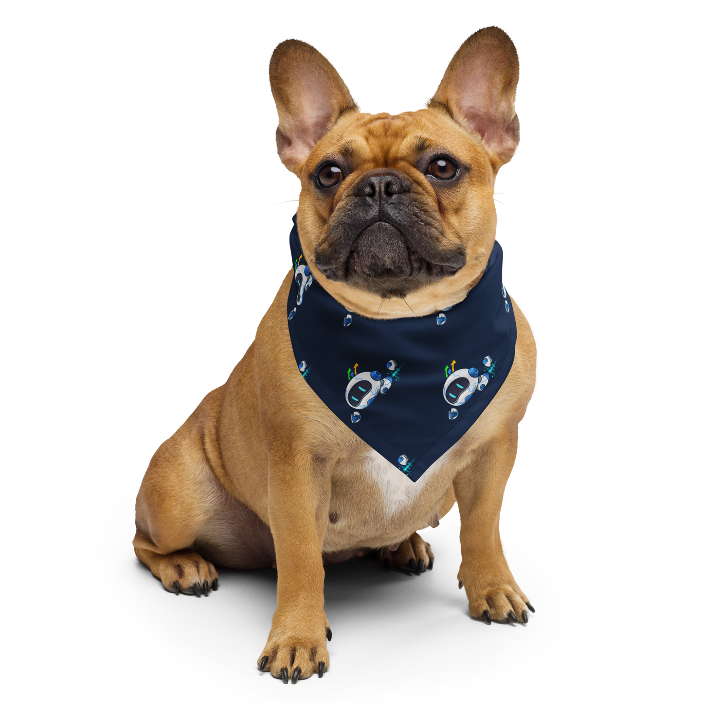 Highly Bandana